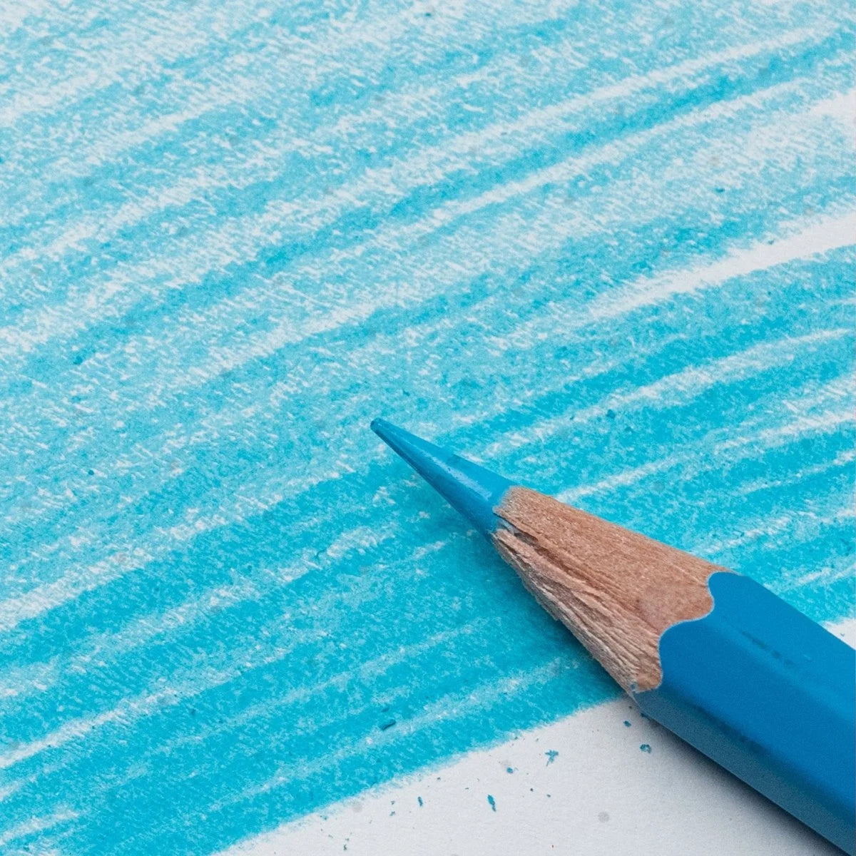 Blackwing Pencil | Blue & Red