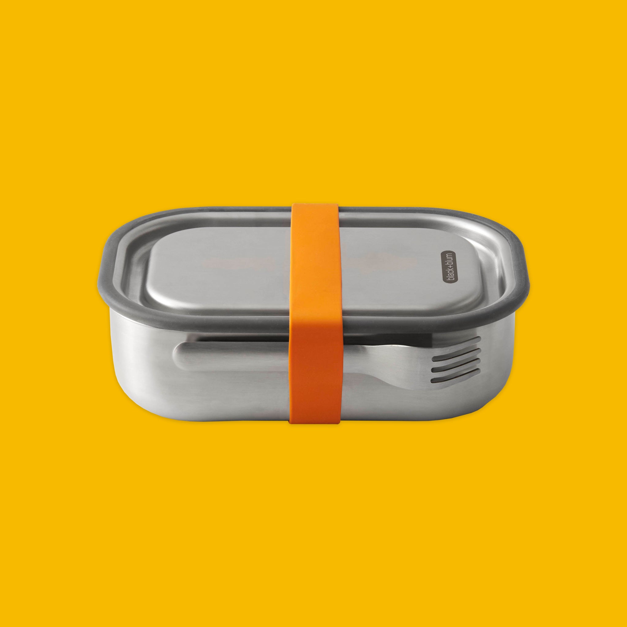 Stainless Steel Lunch Box