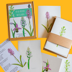 Notecard Sets