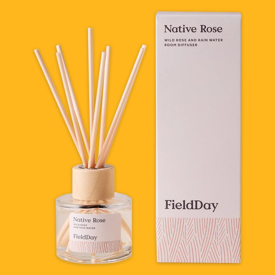 Fieldday Reed Diffuser in Native Rose on a yellow background