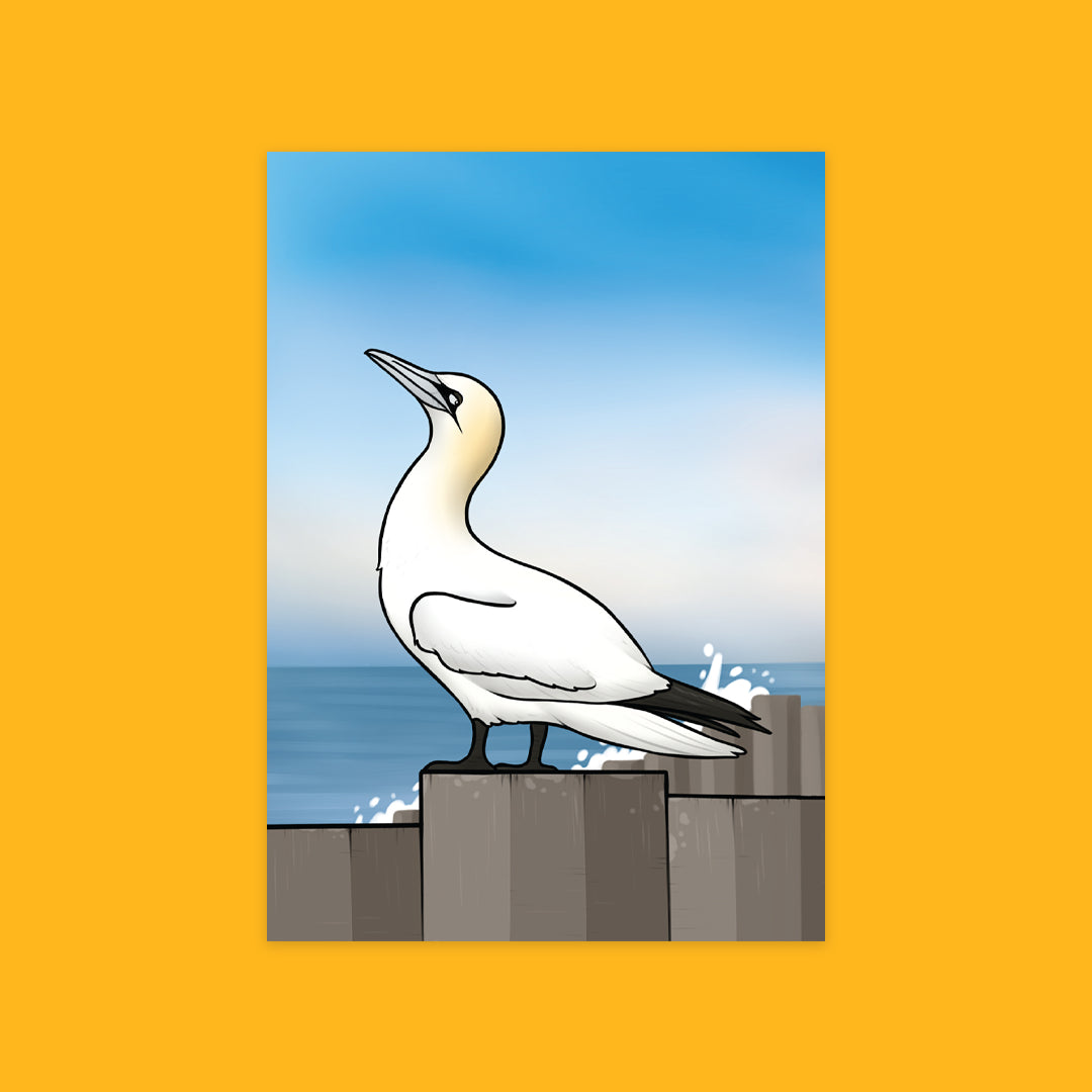 Irish Wildlife Greeting Cards