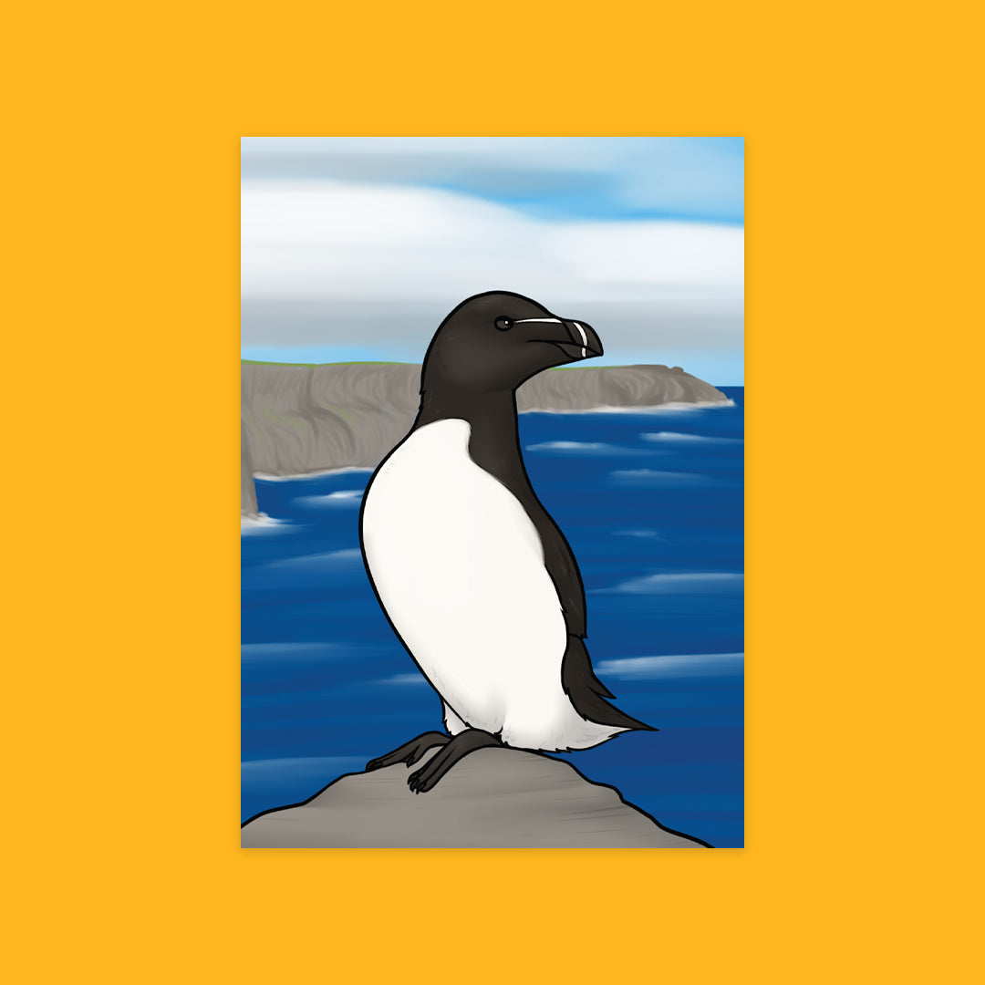 Irish Wildlife Greeting Cards