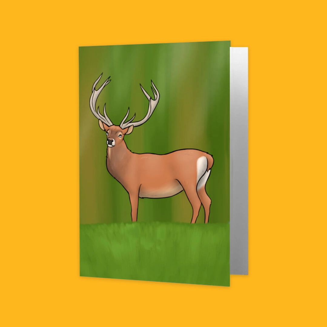 Irish Wildlife Greeting Cards