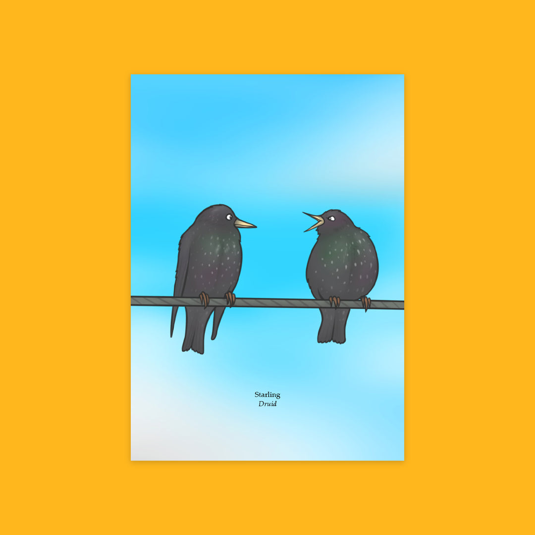Irish Wildlife Greeting Cards