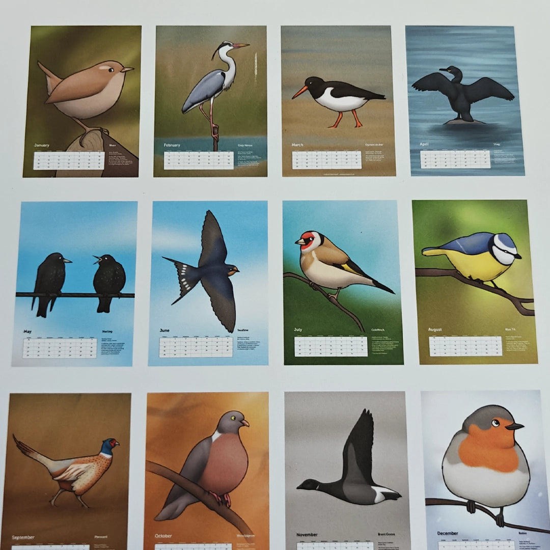 A Calendar of Irish Birds 2027