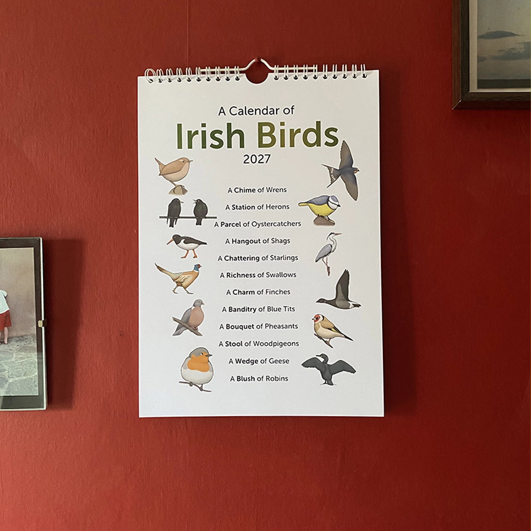 A Calendar of Irish Birds 2027