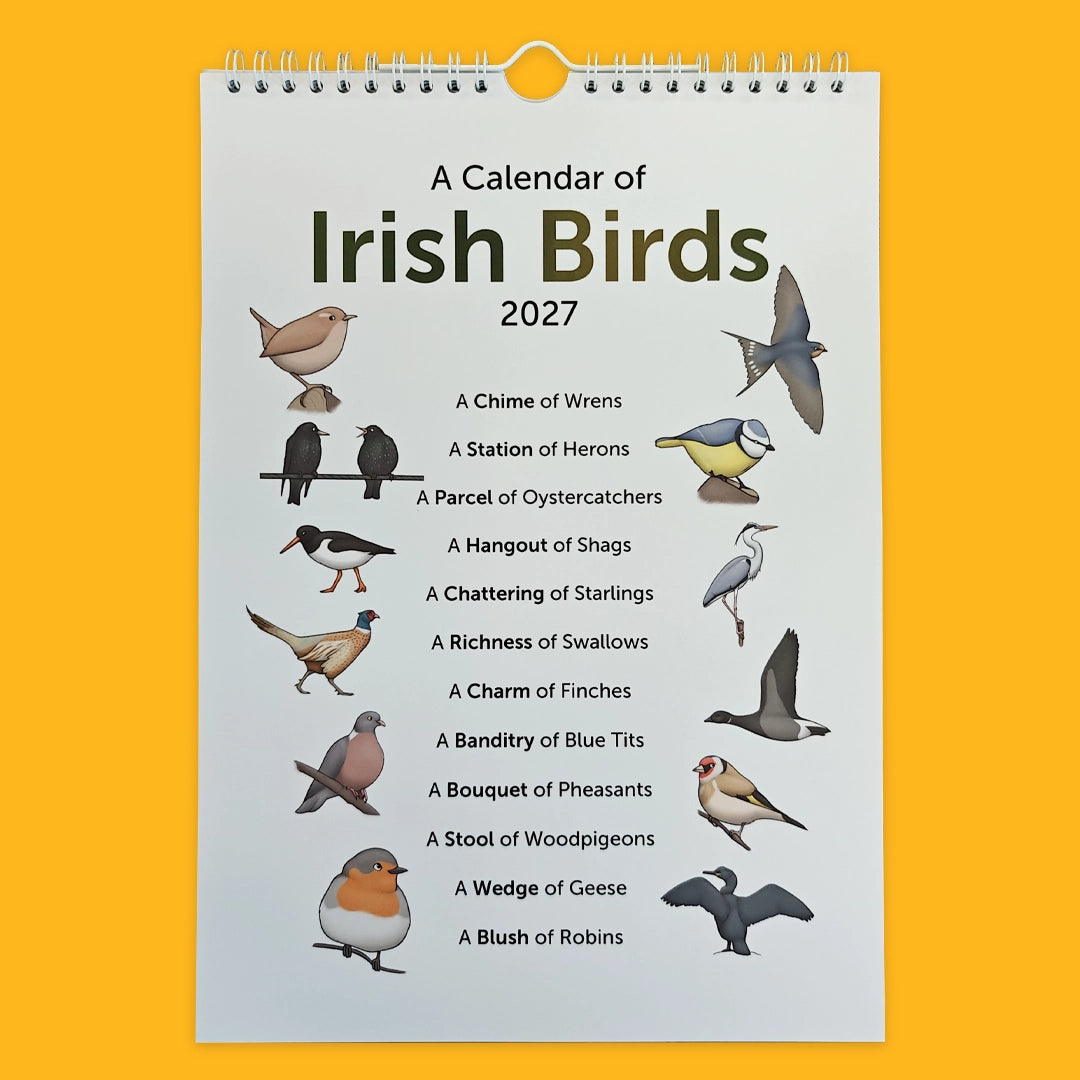 A Calendar of Irish Birds 2027