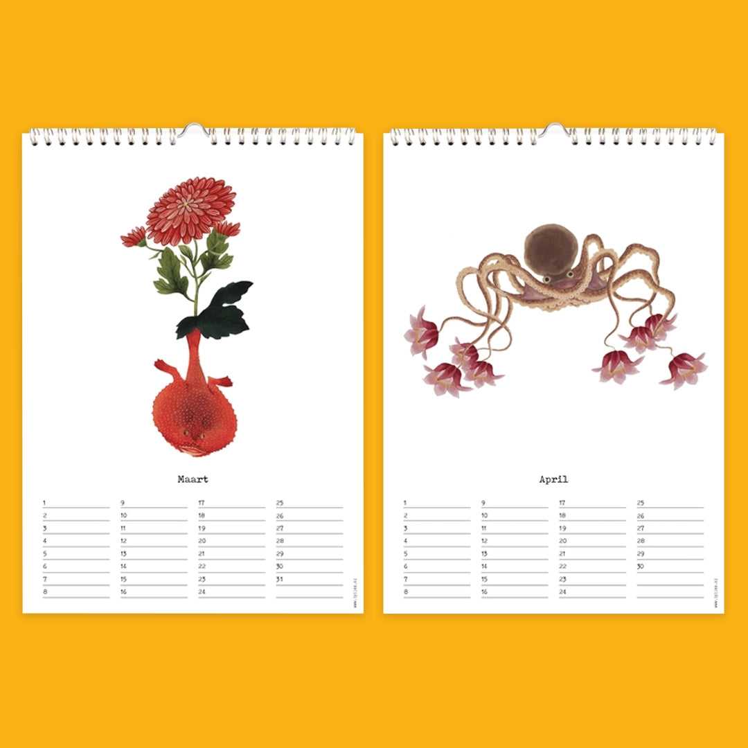 Collage Birthday Calendar