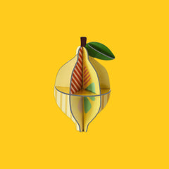 Pop Out Card | Fruits