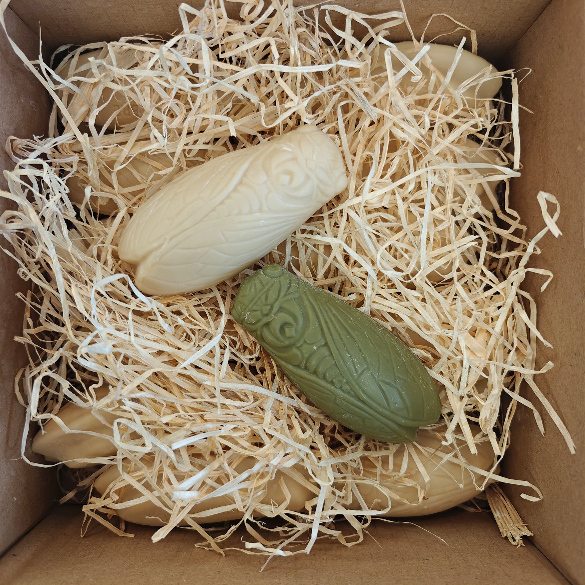Cicada Olive Oil Soap