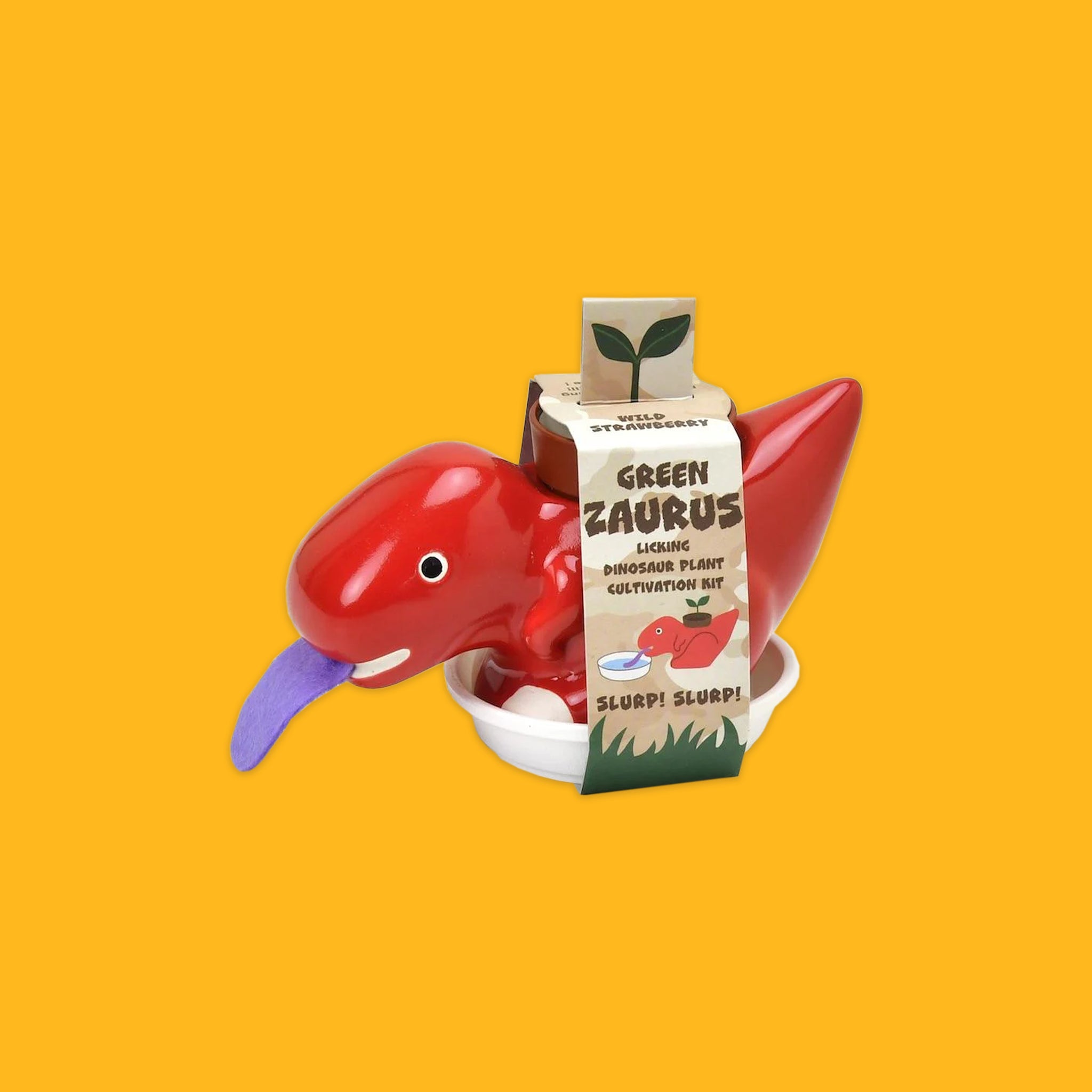 Green Zaurus Plant Kits