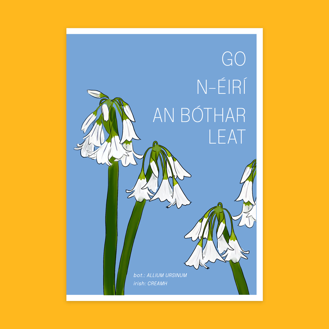 Other Routes Irish Flora Greeting Cards
