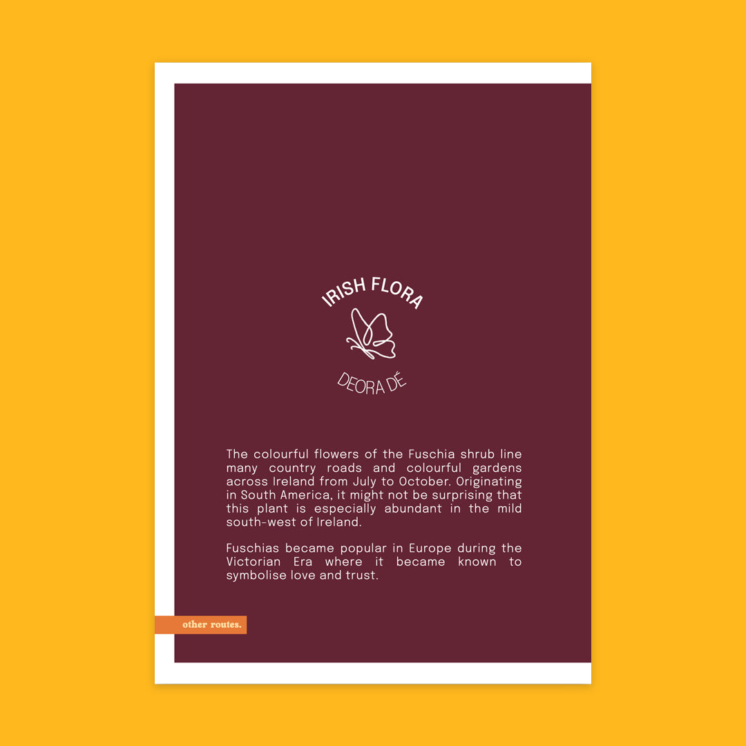 Other Routes Irish Flora Greeting Cards