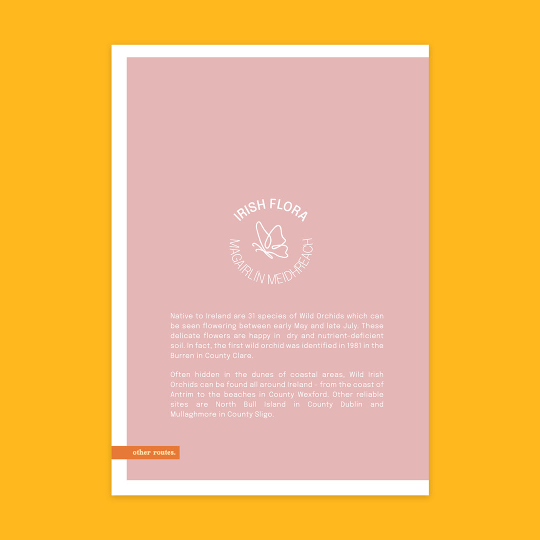 Other Routes Irish Flora Greeting Cards
