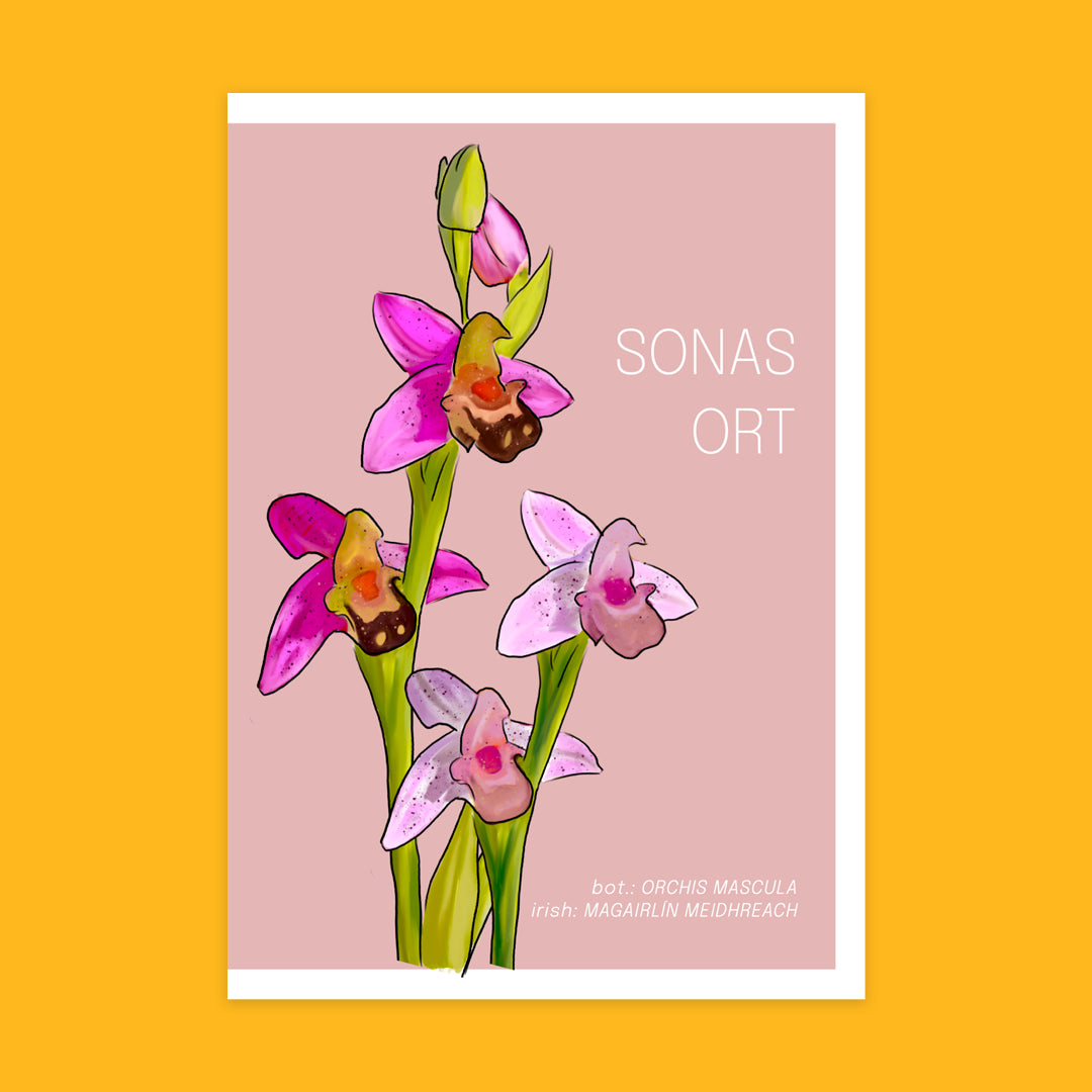 Other Routes Irish Flora Greeting Cards