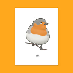 Robin Greeting Card