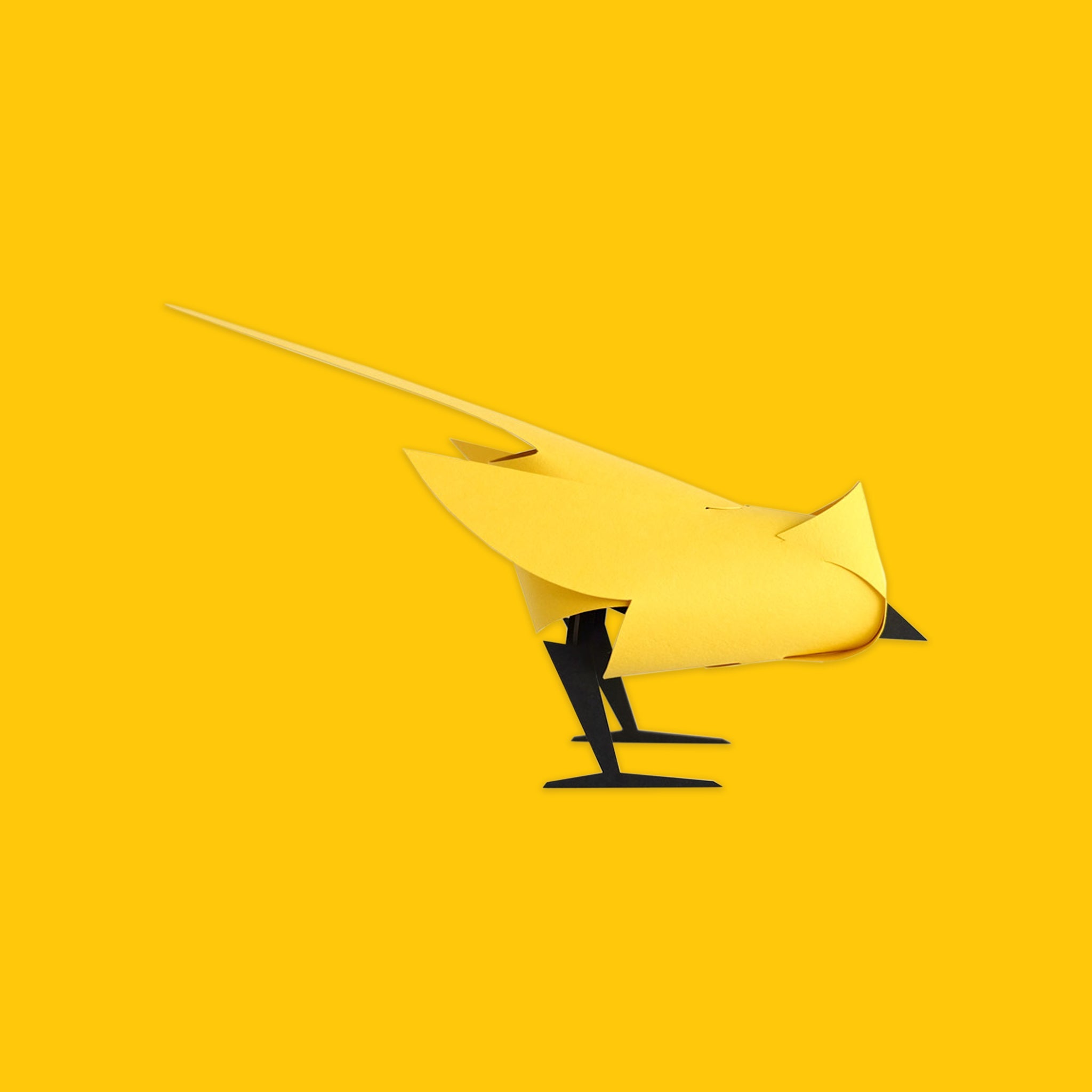 Paper Fantasia Birds