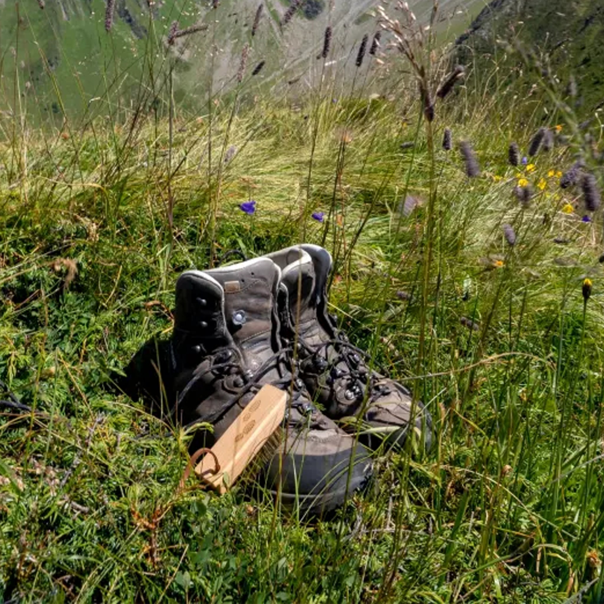 Hiking Boot Brush
