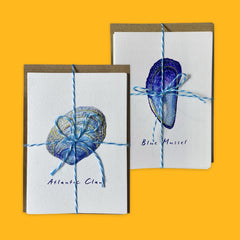Seashell Miniature Card Sets