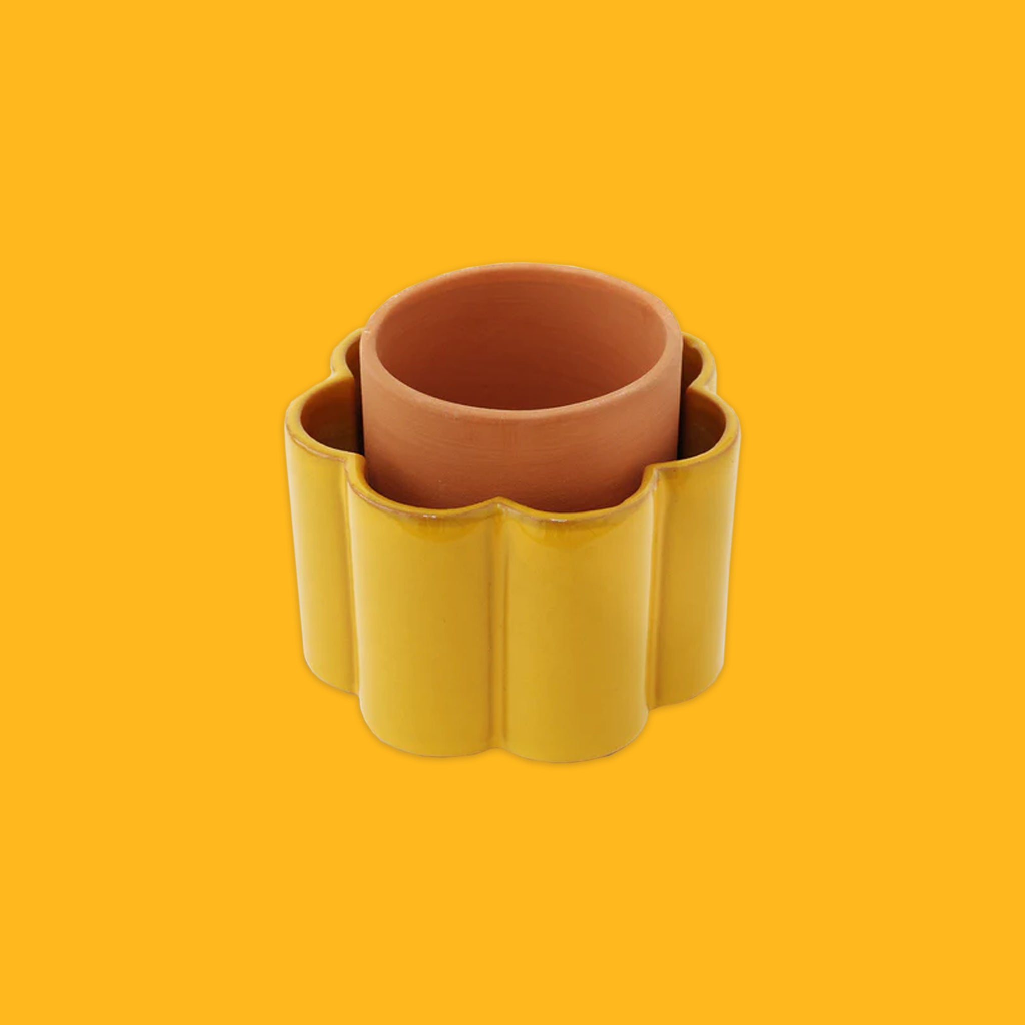 Self Watering Pots