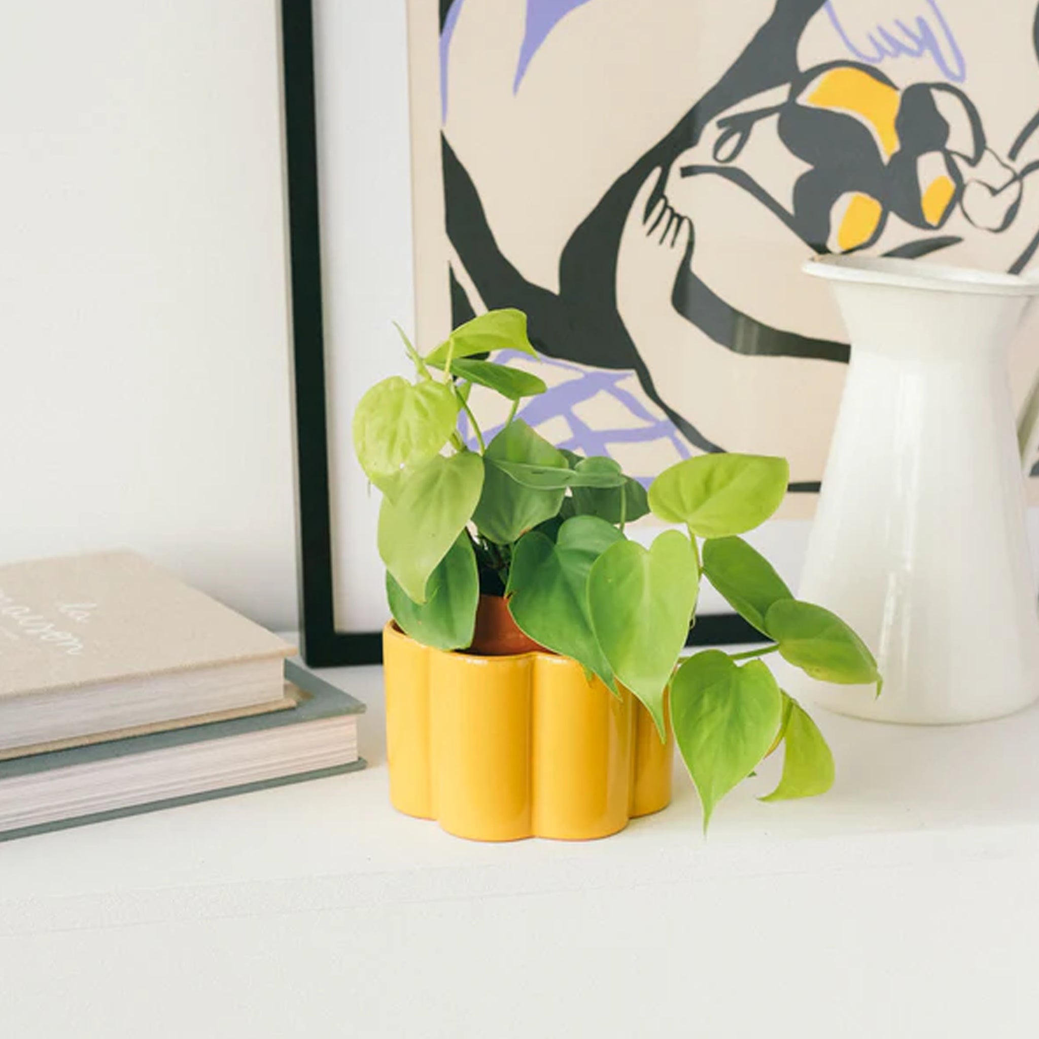 Self Watering Pots