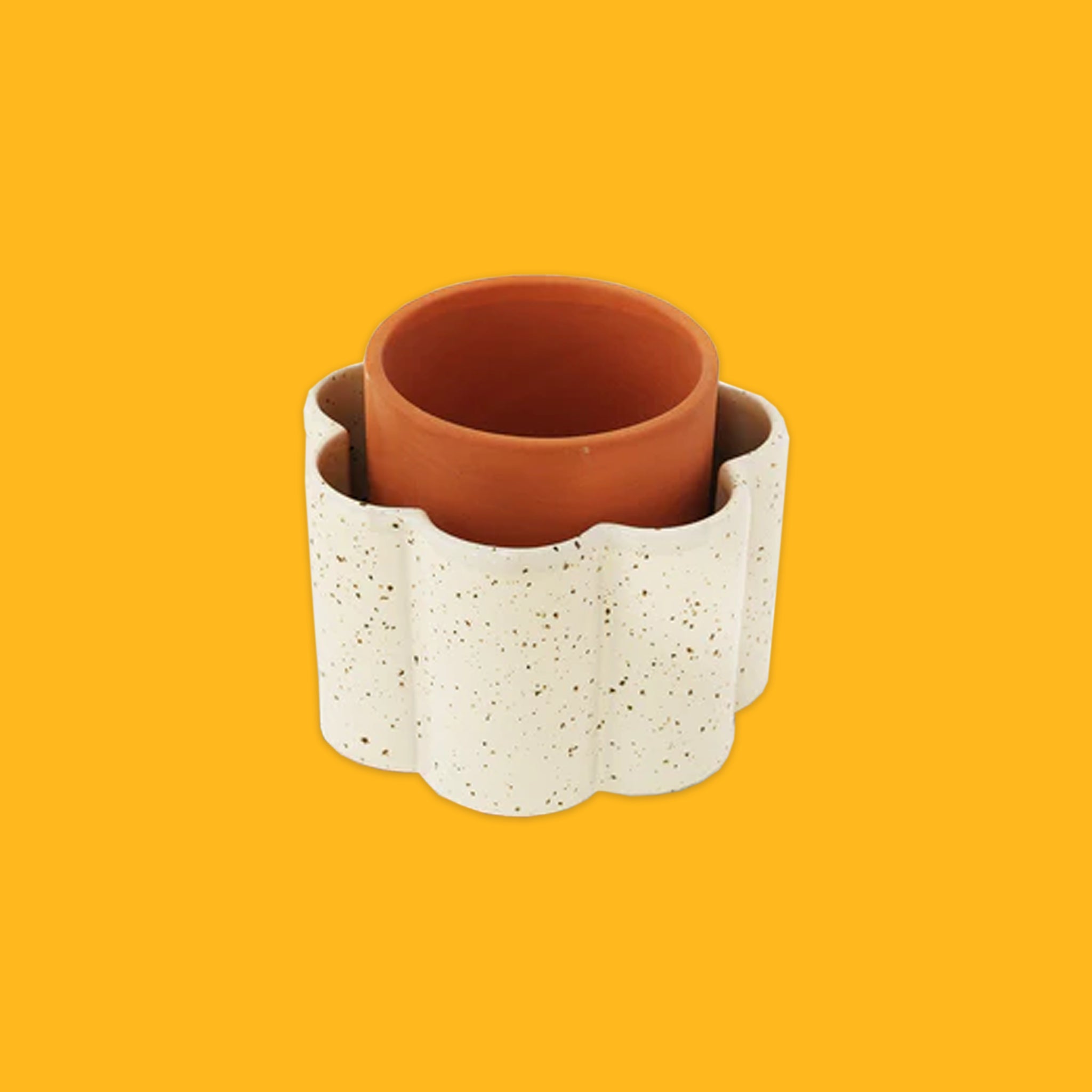 Self Watering Pots