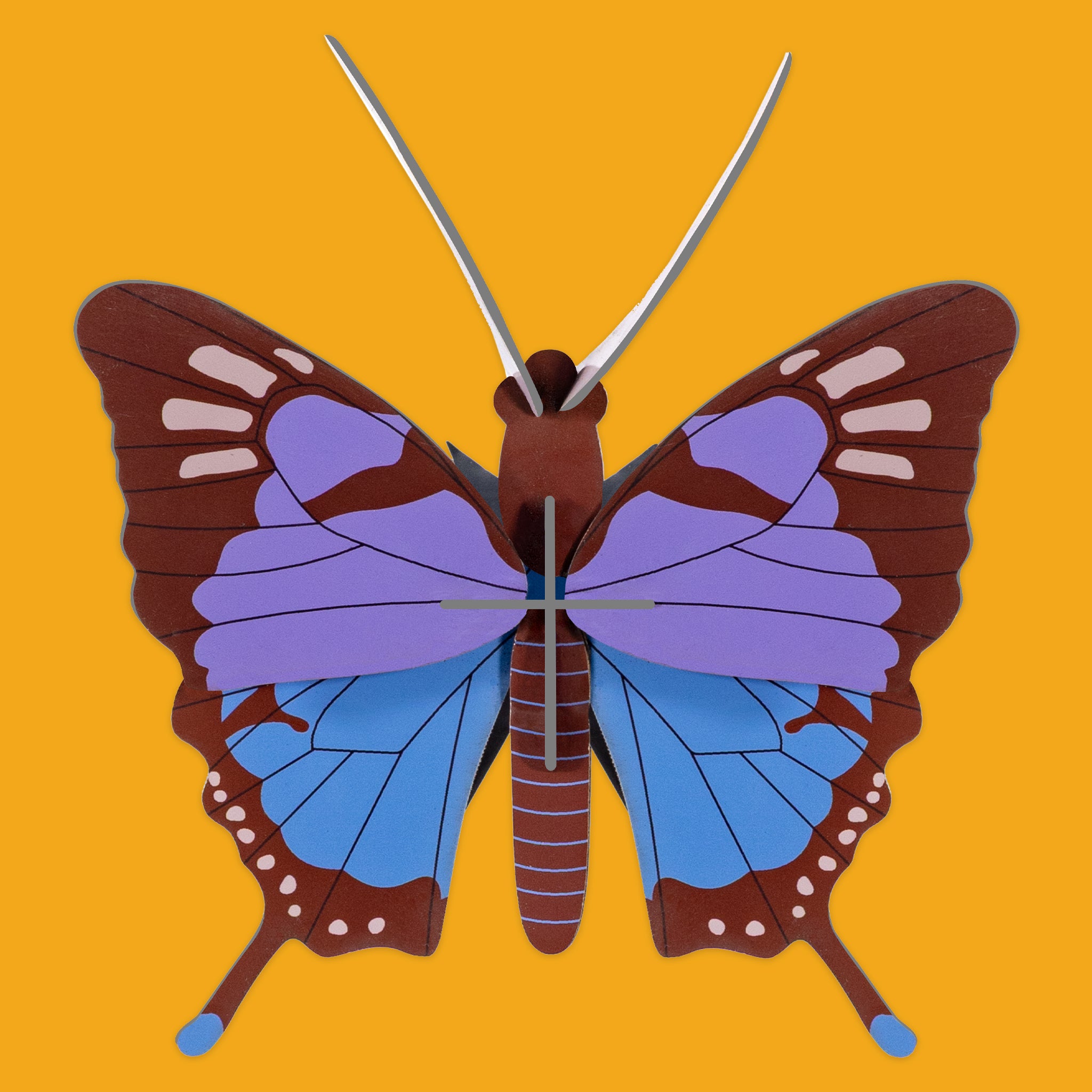 Crysalus Butterfly on an orange background