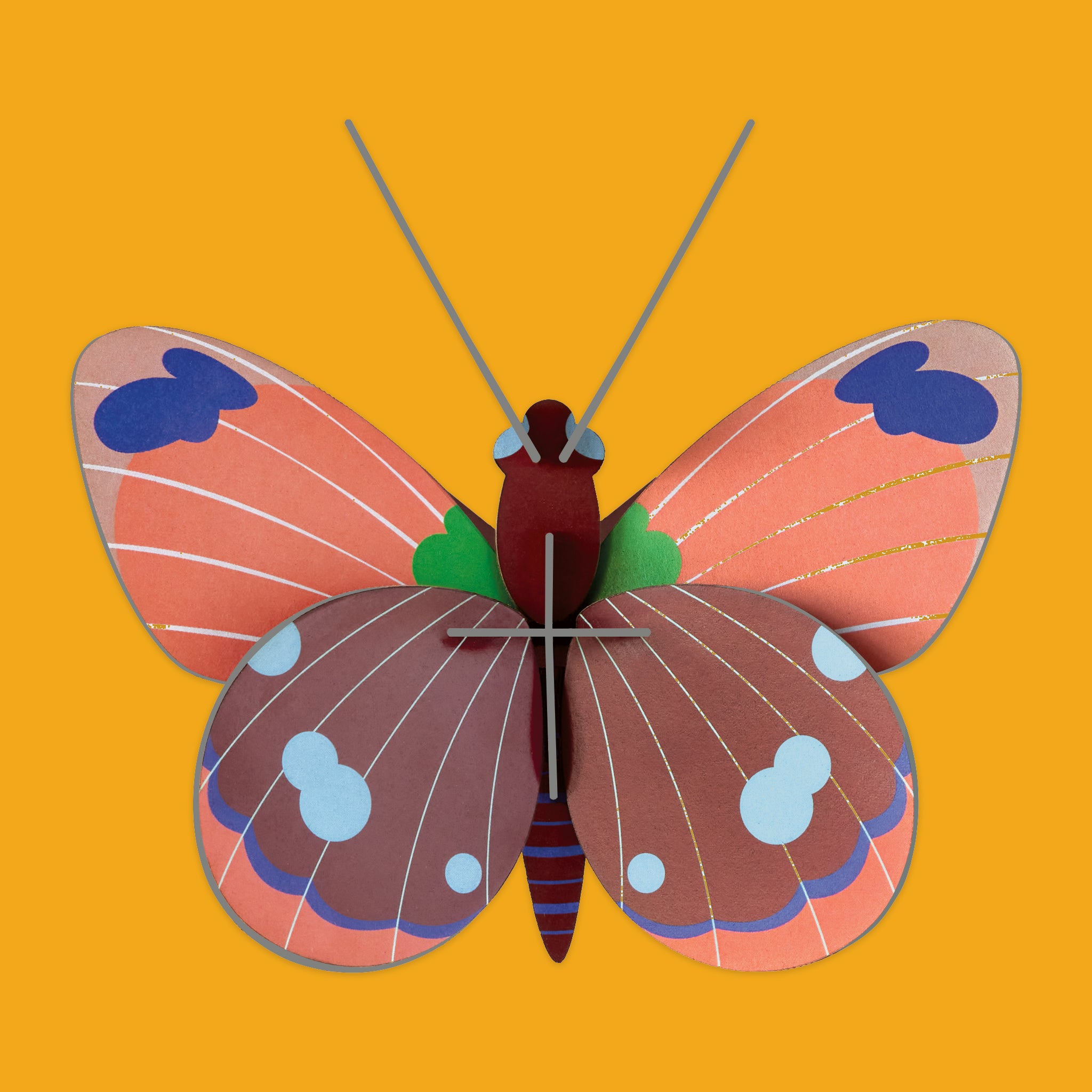 Delias Butterfly on an orange background