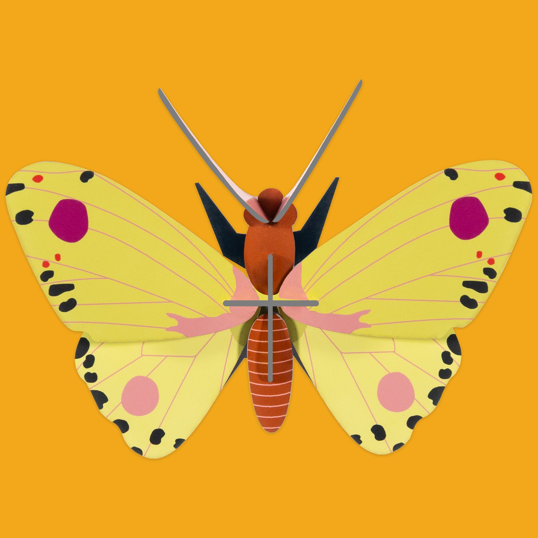 Luzerne Butterfly on an orange background