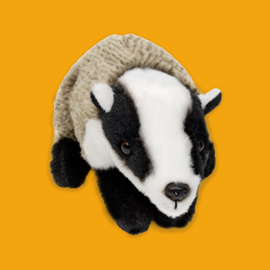 Plush toy badger on an orange background