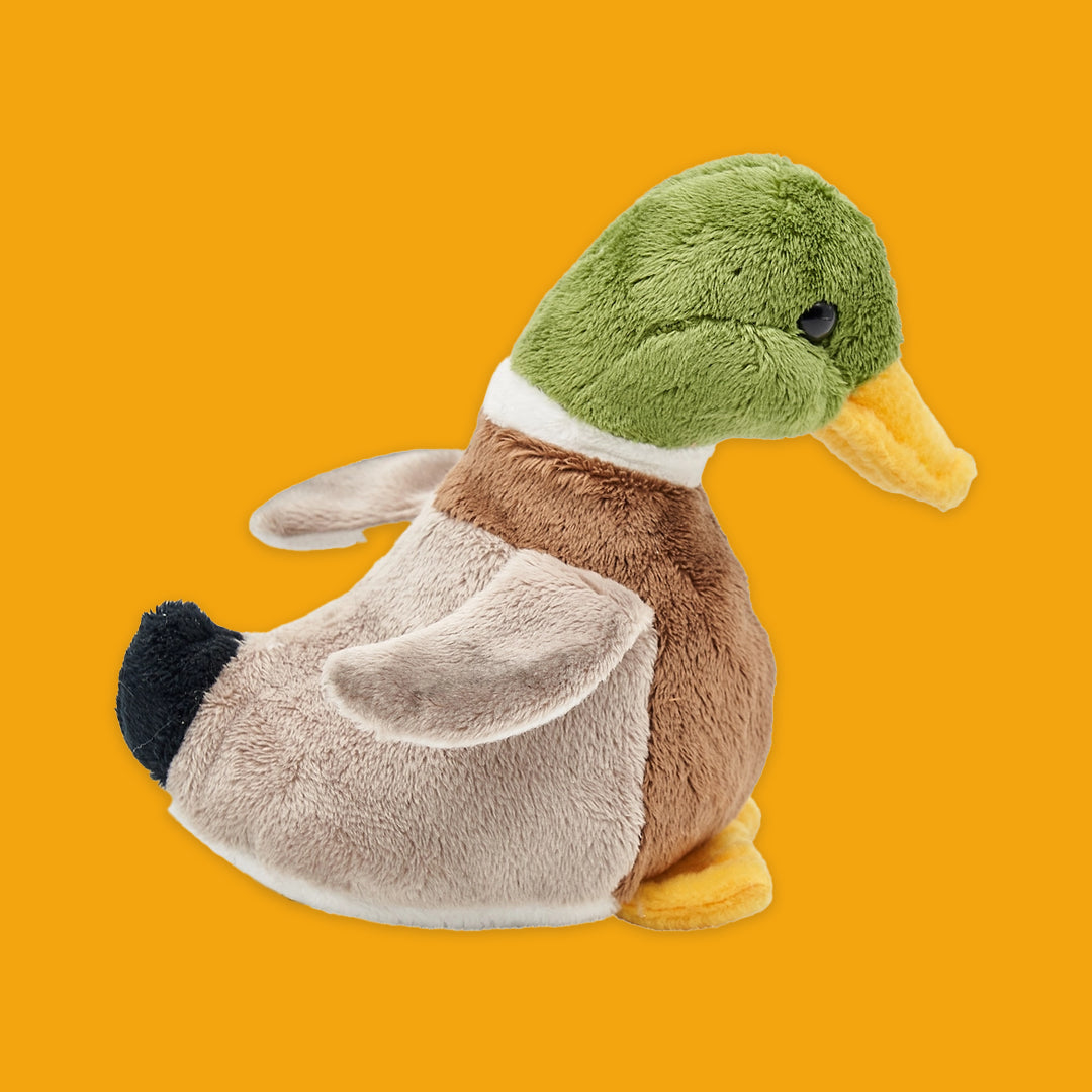 Plush duck toy on an orange background
