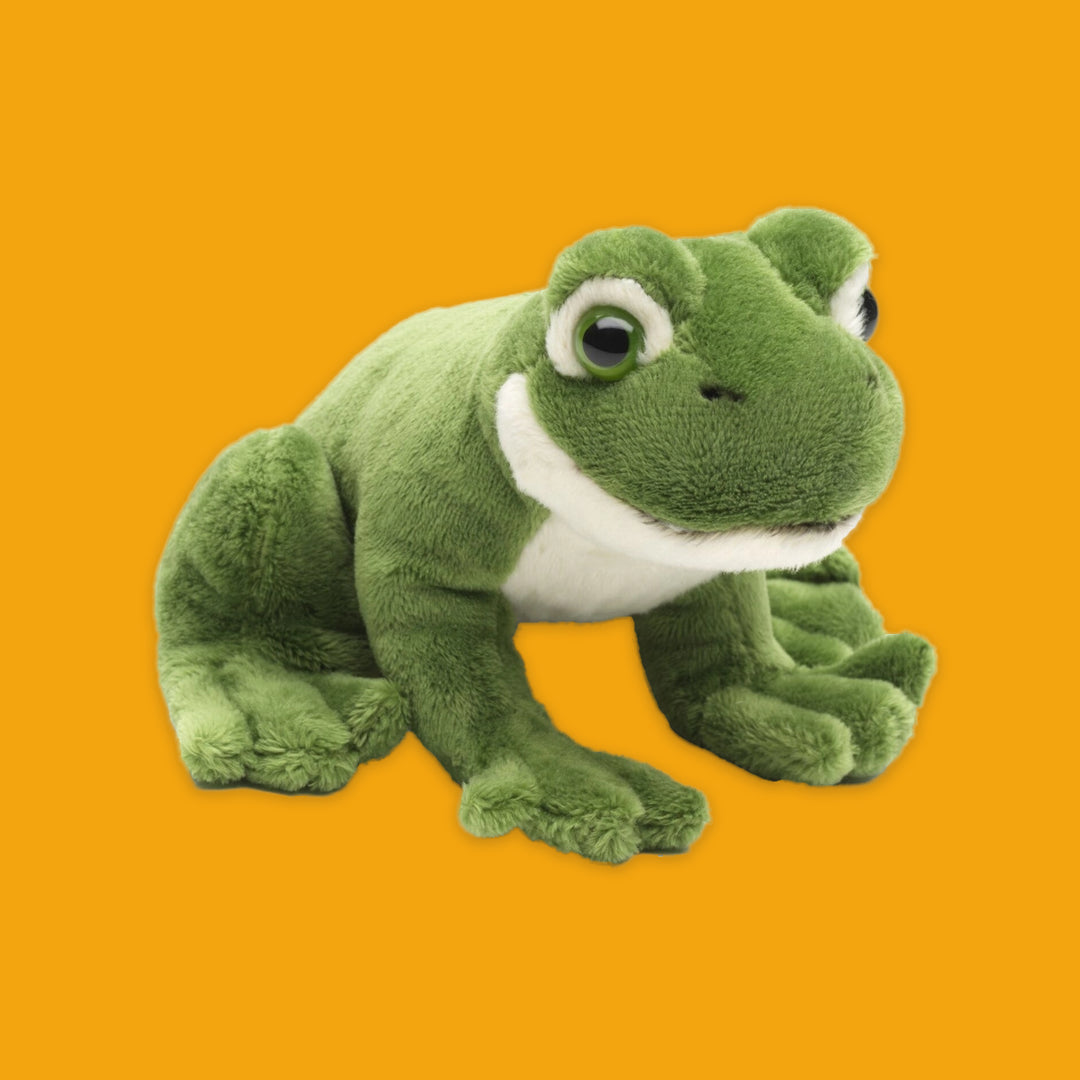 Green plush frog toy on an orange background