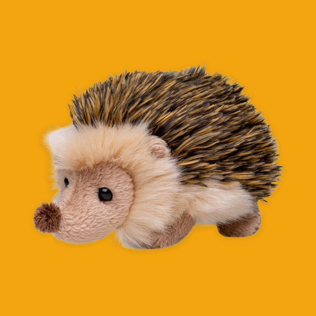 Plush toy hedgehog on an orange background