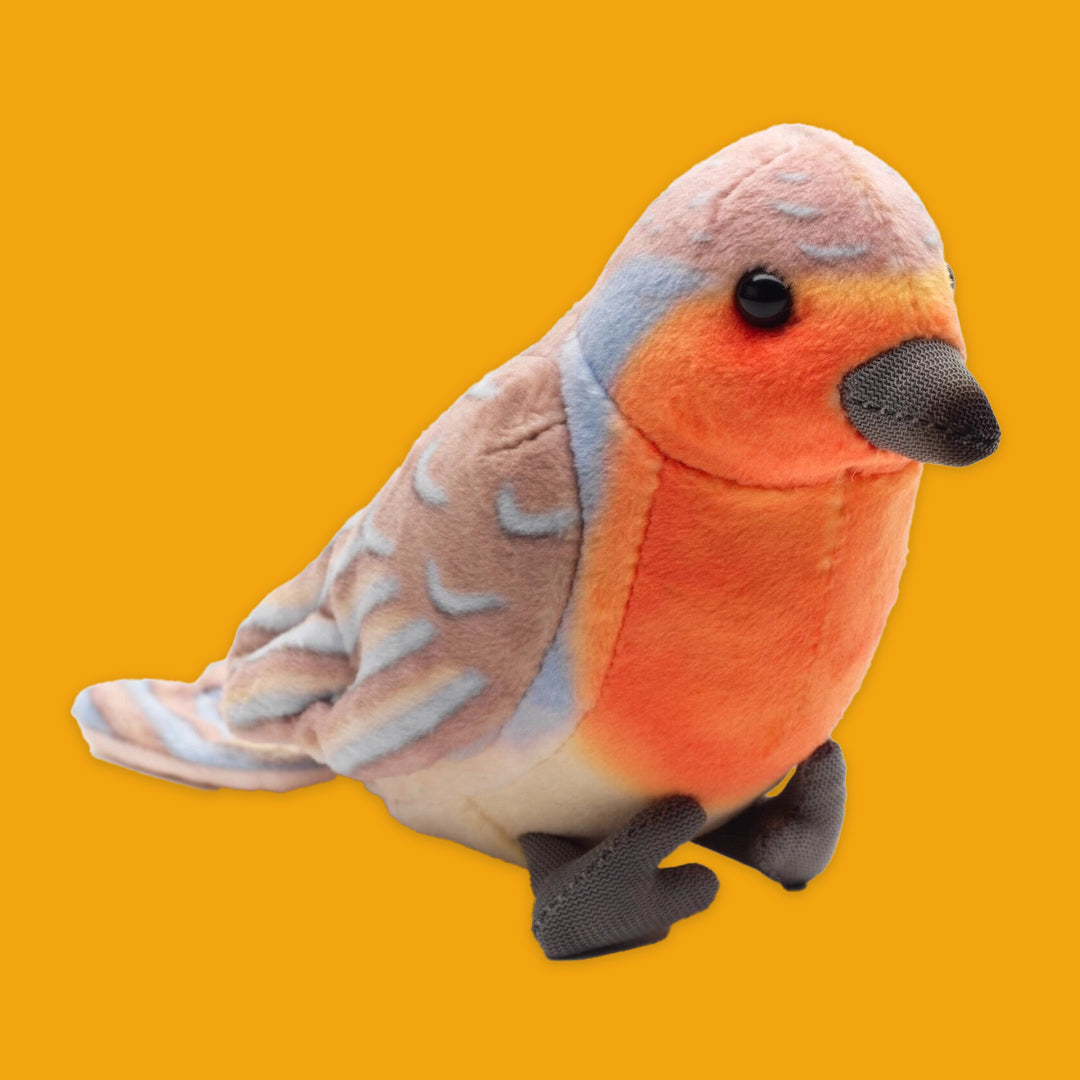 Plush toy robin on an orange background