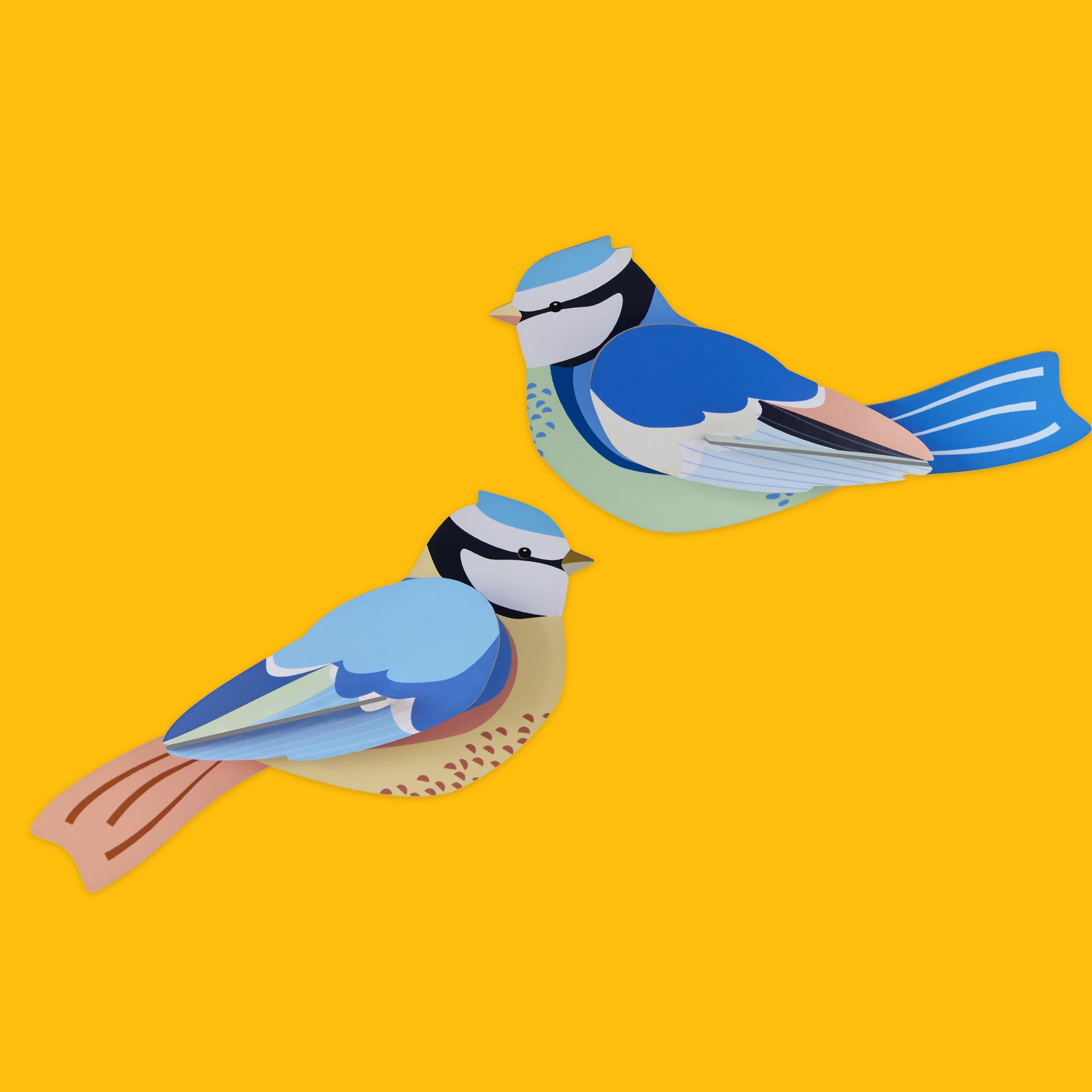 Garden Birds