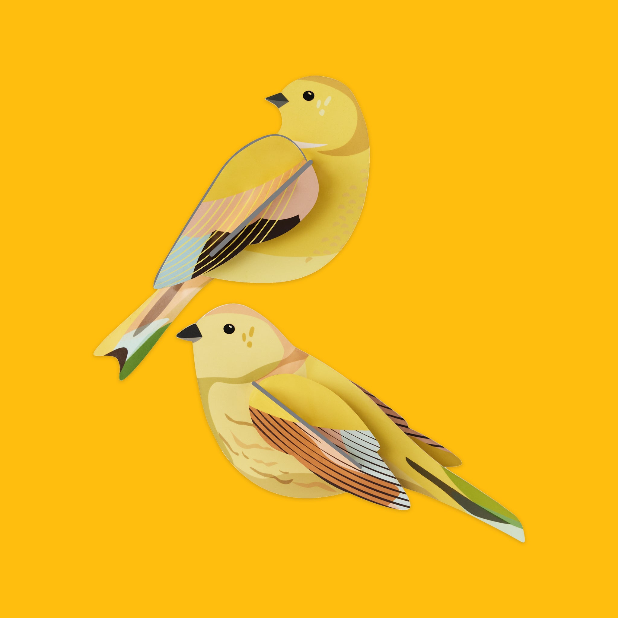 Garden Birds