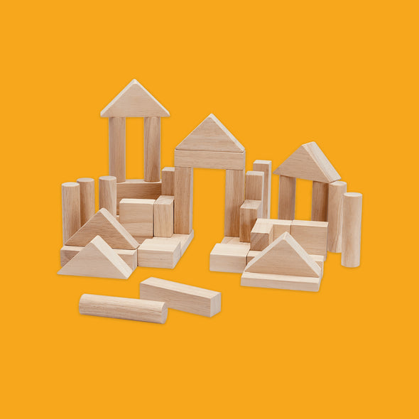 40 Unit Blocks by Plan Toys