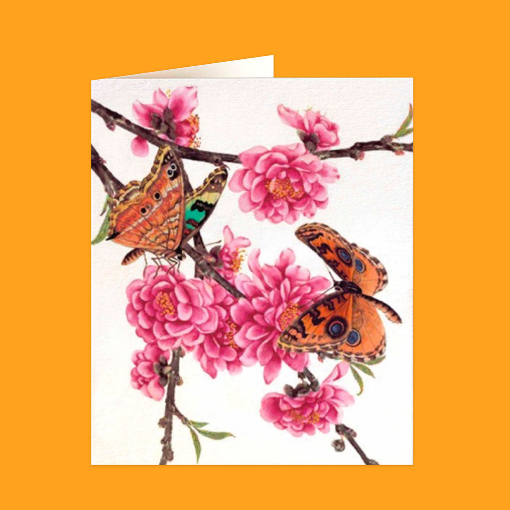 Natural History Museum Cards