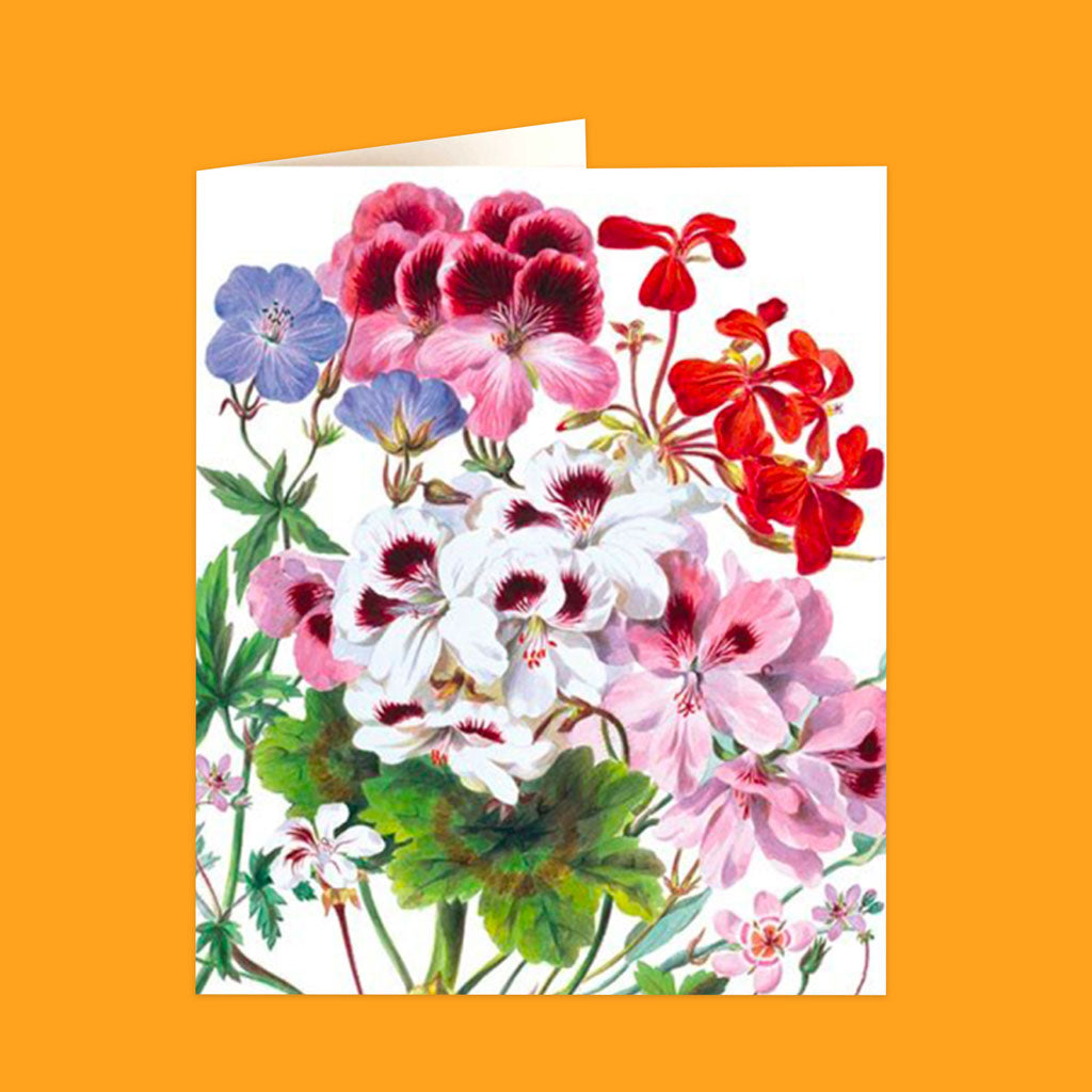 Natural History Museum Cards