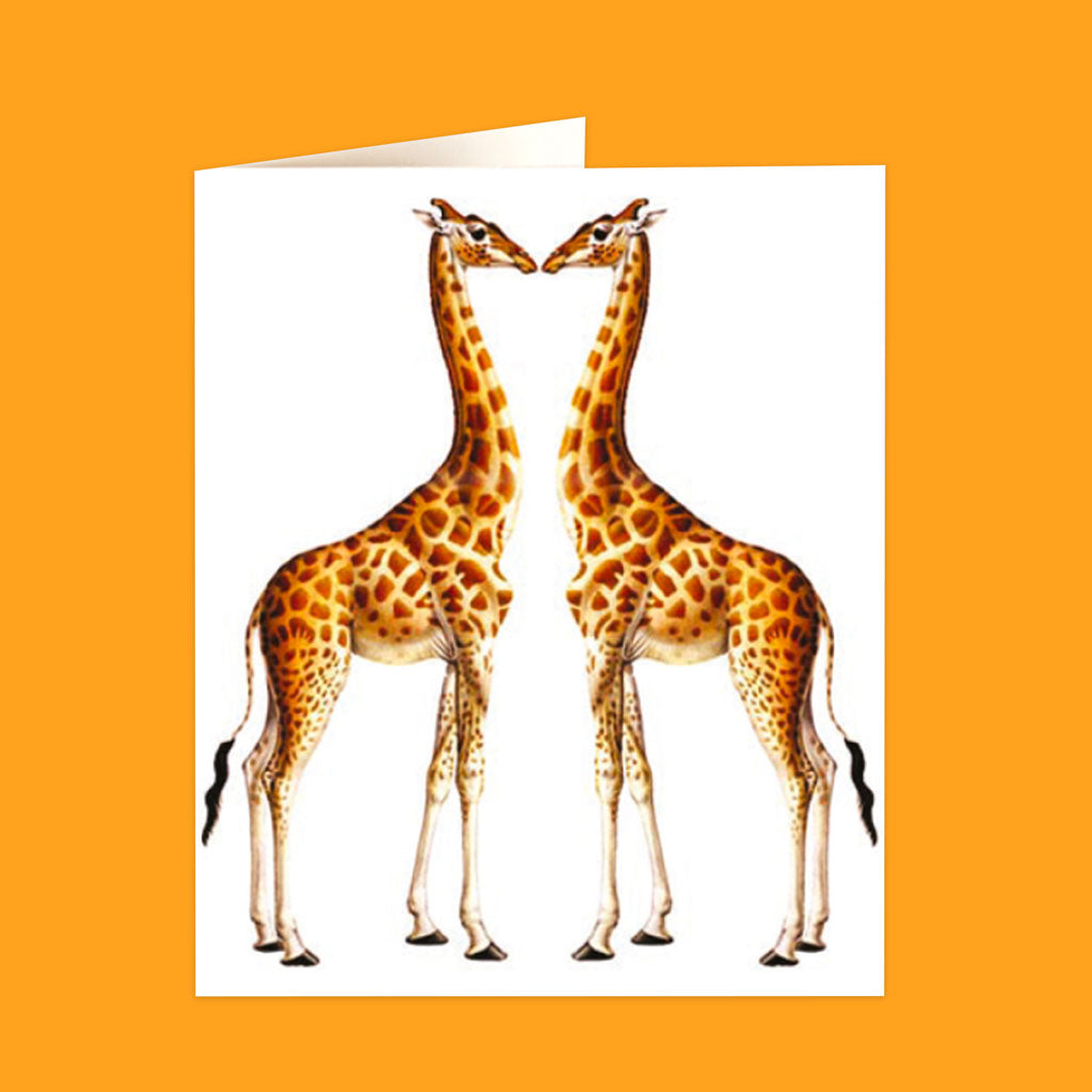 Natural History Museum Cards