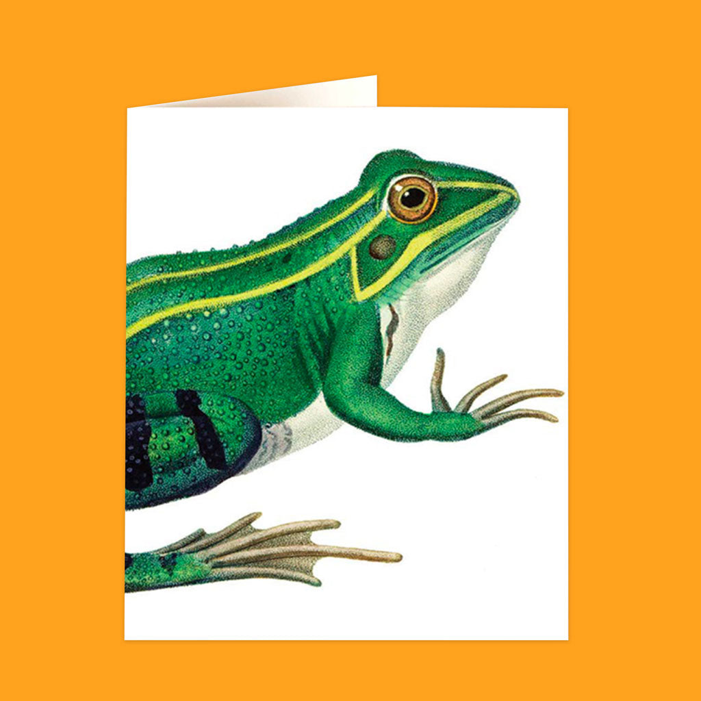 Natural History Museum Cards