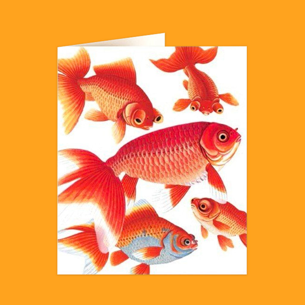 Natural History Museum Cards