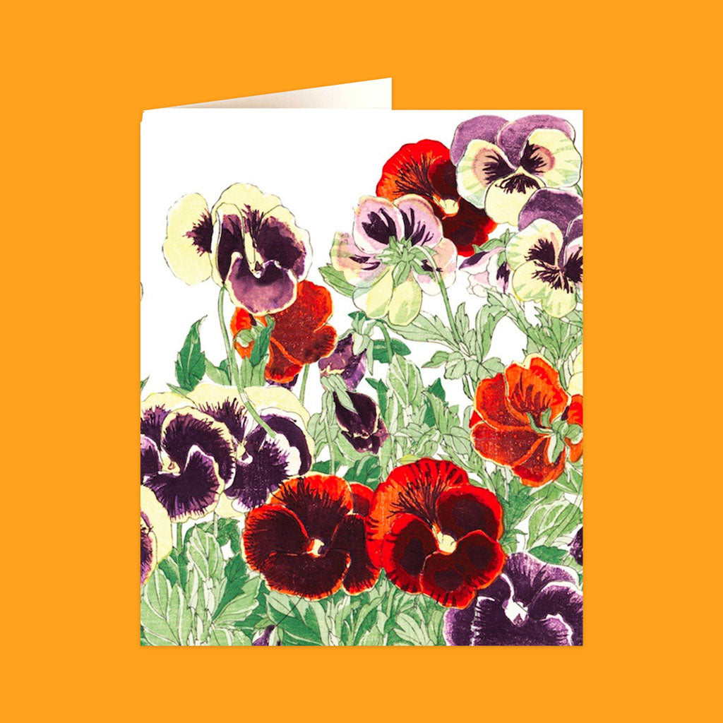 Natural History Museum Cards