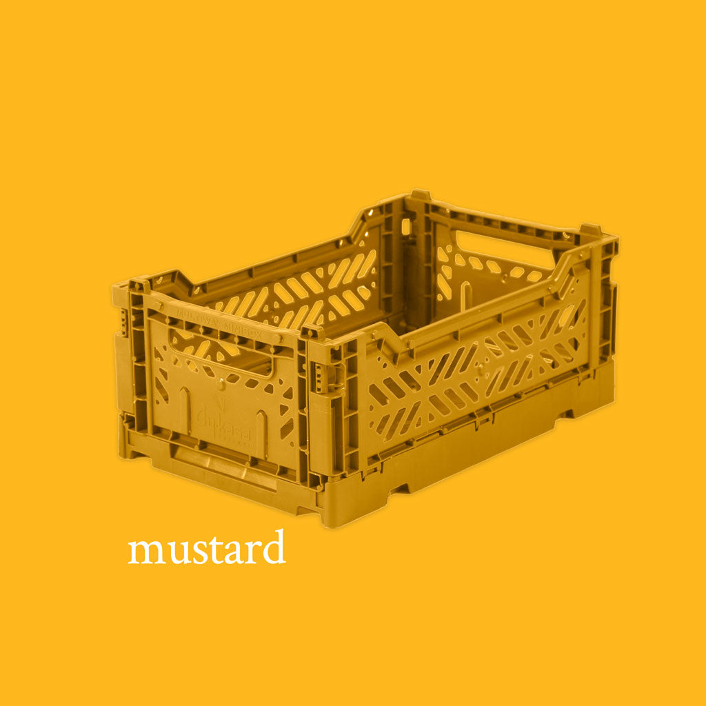 Folding Mini Crate