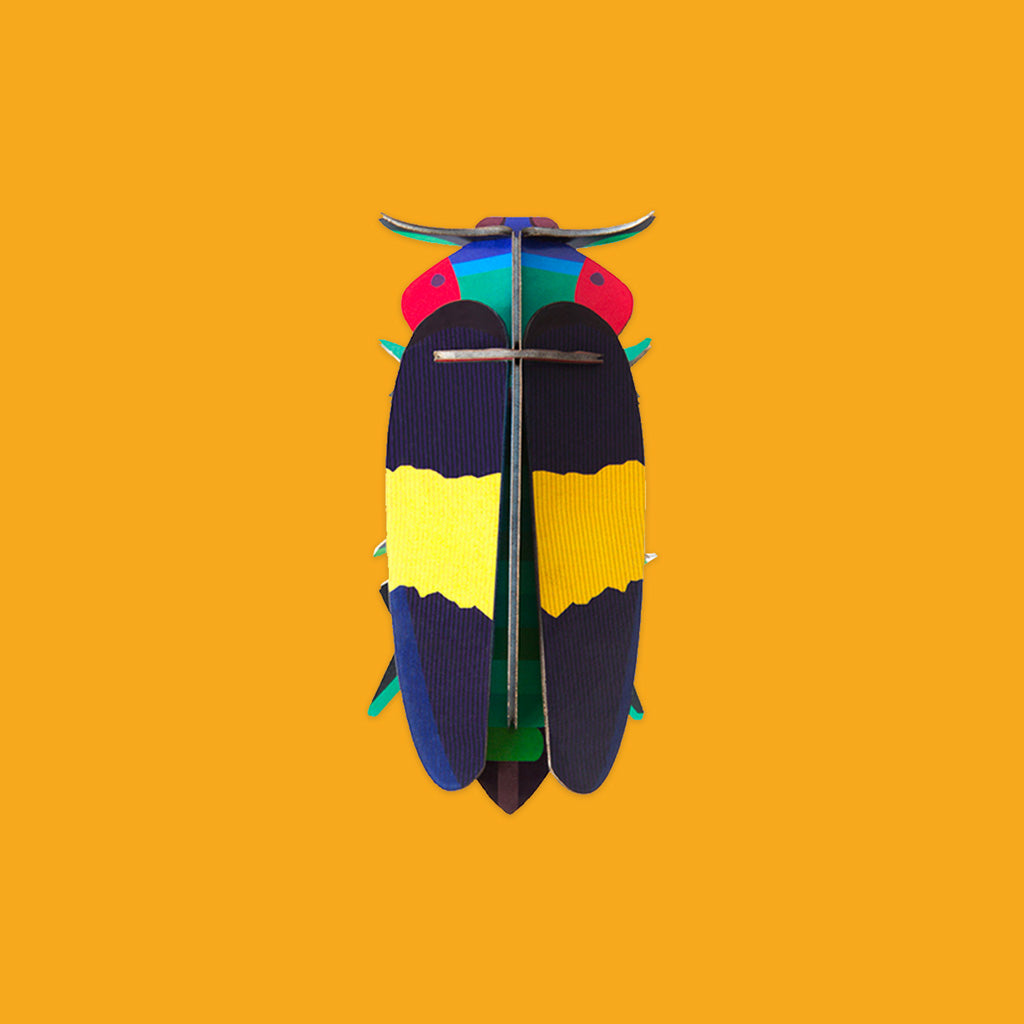 Studio Roof Jewel Beetle