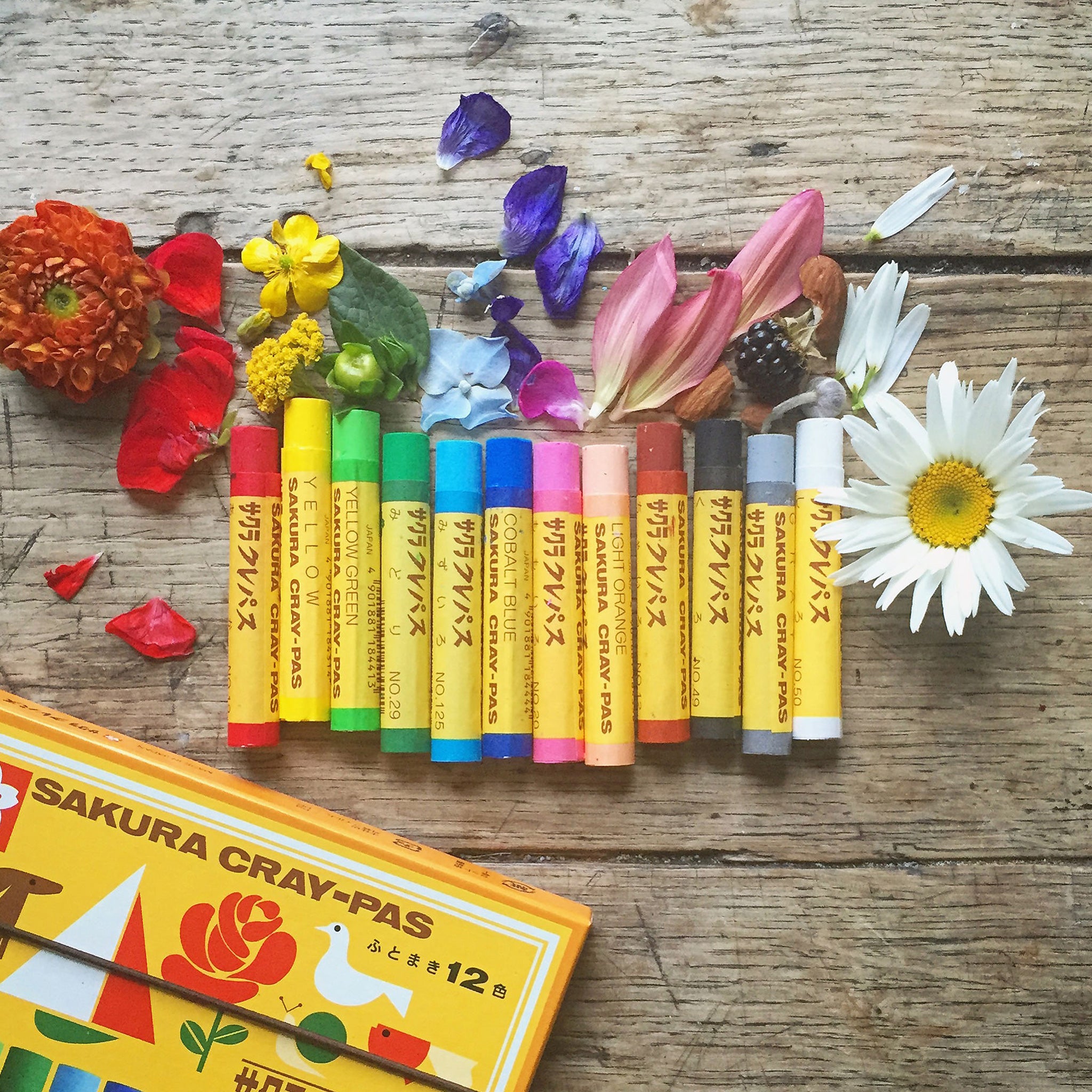 Cray-Pas Crayons by Sakura