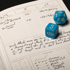 Field Notes 5E Gaming Journals Inside the Character Journal