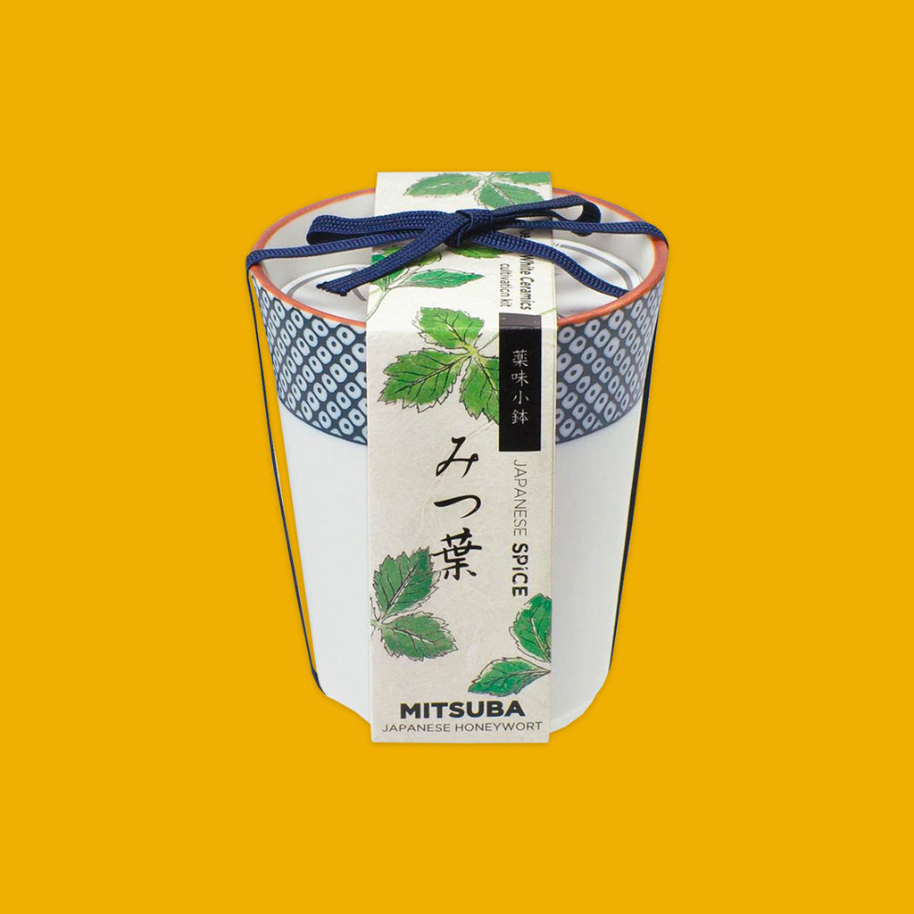 Japanese Spice Mitsuba