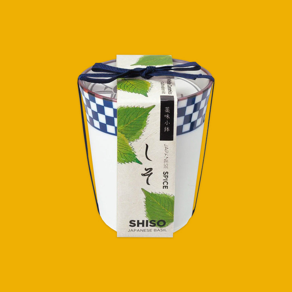 Japanese Spice Shiso