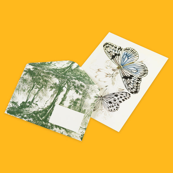 Letter Writing Set by Pepin Press Natural History Cards